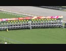 【すべては、この熱き日のために。】第89回日本ダービー(GI) 2022.5.29