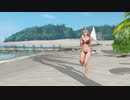 【DoaX3】グラビアパラダイスランダム 053008