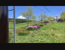 お出かけします！2021/8/5(木) 11:56開始 (6時間)