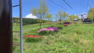 お出かけします！2021/8/5(木) 11:56開始 (6時間)