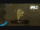 【ゼルダの伝説BotW】実況プレイ-part42-