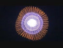 名港水上芸術花火2022(前編)【NAGOYA ART FIRE WORKS FESTIVAL】
