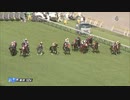 【ダービーデー恒例の最後のレース】第136回目黒記念(GII) 2022.5.29