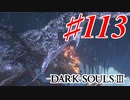 【初見実況】ゲーム下手がダークソウルⅢもクリアするまで その１１３【DARK SOULSⅢ 】
