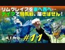 【初見】エルデンリング実況／盗賊王物語【オフライン】#11