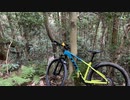 マウンテンバイクで険道の支線（分かれ道）走ってみる