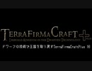 【Minecraft】ドワーフの技術で王国を取り戻すTerraFirmaCraft 16