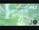 【ゼルダの伝説BotW】実況プレイ-part43-