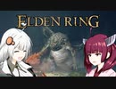 【エルデンリング】ソウルシリーズほとんど未プレイのきりきずの冒険１７