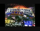 WWEレッスルマニア24(1)