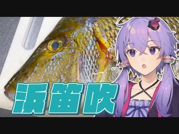 【ボイロキッチン】結月ゆかり「お魚さばきましょう！」【ハマフエフキ】