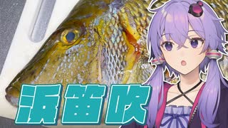 【ボイロキッチン】結月ゆかり「お魚さばきましょう！」【ハマフエフキ】