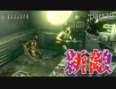 【実況】さっくり進めたいバイオハザードpart30【バイオハザードHD】
