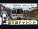 【人間VS鉄道】同じ電車に何回走って追いつくことができる？飯田線チャレンジ【VOICEROID解説】