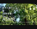 [ASMR][立体音響][リモートワーク]木々に癒される昼下がり