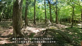 【1分弱登山祭2022】八丁池筏場バス停スタート【リアル登山アタック】