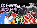 要塞探すとこからはじめてのエンドラ マイクラ PART16