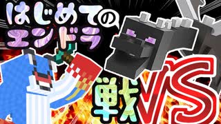 要塞探すとこからはじめてのエンドラ マイクラ PART16