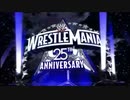 WWEレッスルマニア25(2)