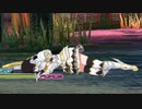ソニア リョナ Sonia Ryona ブレードアークス・フロム・シャイニング Blade Arcus from Shining