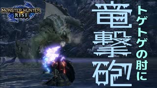 【STEAM版】モンハンライズ『迅速の騎士に竜撃砲！』