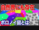 【何これ】カエルの卵のような図、ボロノイ図の紹介【物理エンジン】