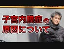子宮内膜症の原因を教えて下さい【#内海聡】 【#うつみん】【世界一嫌われ医者】