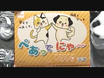 100均ボドゲ『ぺあってにゃ～』、同じ答えを出せるかな！？