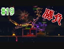 【実況】アクション苦手だけどテラリアやるどー⑲【Terraria】