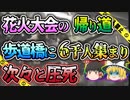 【ゆっくり解説】歩道橋に6000人が集まり超々満員の状態で起こってしまった明石花火大会歩道橋事故