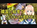 【韓国の反応】韓国の給食で出されたキムチからカエルの死体が発見される！【世界の〇〇にゅーす】
