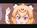 Jaguar!!