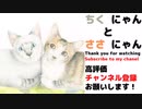 看板猫