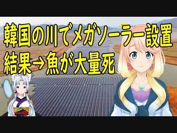 韓国の大きな川に水上メガソーラーを大量に設置した結果、魚や水鳥が大量死する事態に【世界の〇〇にゅーす】