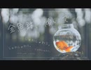 金魚鉢、傾いで / 結月ゆかり