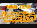 【XTZ125】サラミカットサイレンサーのインナーバッフル外してみた。