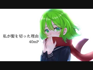 【歌ってみた】私が髪を切った理由 / Covered by ふぃなどん