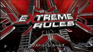 WWEエクストリーム・ルールズ2009