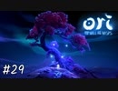実はかわいそうなやつ【Ori and the Will of the Wisps】#29