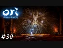 ウィスプをひとつに【Ori and the Will of the Wisps】#30