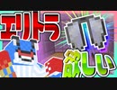 エンドでエリトラ求めて探索！マイクラ PART17