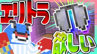 エンドでエリトラ求めて探索！マイクラ PART17