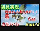 【ゼルダの伝説 夢を見る島】 夢見るさかな part13【初見実況】