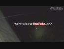 初めてのテナガエビ釣り