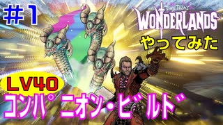 やってみた #1【ワンダーランズ】グレイヴウォーデン：ヒドラ＋ダークマジック・ダメージでボスを倒しに行ってみました