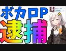 期待の新人ボカロPさんJCにわいせつ行為で逮捕というニュース【 紲星あかり/ずんだもん】