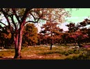 sunset @Chiyuri Nagayama