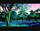 sunset @Chiyuri Nagayama