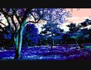 sunset @Chiyuri Nagayama