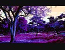 sunset @Chiyuri Nagayama